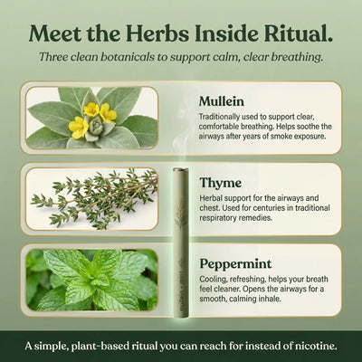 Ritual® | CleanAir™ Device